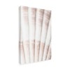 Trademark Fine Art - Pictufy Studio Shell 2 Matted Framed Art - 2 of 4