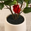 Kazeila Artificial Camellia Tree with 9 inch White Planter, Tall Fake Camellia Trees with Flowers - image 4 of 4