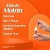 Infants' Motrin Dye-Free Pain Reliever/Fever Reducer Liquid Drops - Ibuprofen (NSAID) - Berry - 1 fl oz - 4 of 4