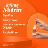 Infants' Motrin Dye-Free Pain Reliever/Fever Reducer Liquid Drops - Ibuprofen (NSAID) - Berry - 1 fl oz - image 4 of 4
