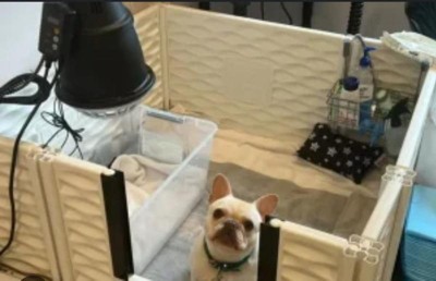 Guest review image 1 of 1, zoom in