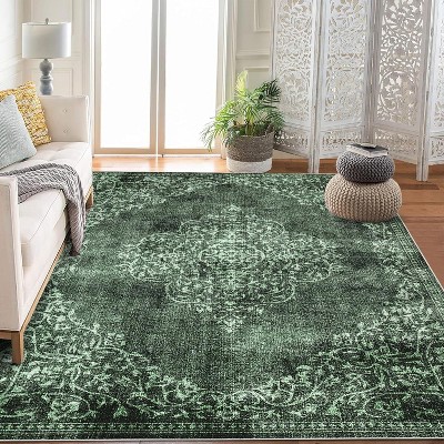 Washable Area Rugs Stain Resistant Carpet for Living Room Bedroom Kitchen Bathroom with Non Slip Backing Home Decor Floor Decoration Mat