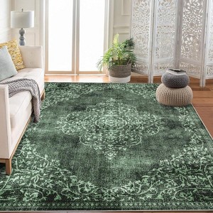 Washable Area Rugs Stain Resistant Carpet for Living Room Bedroom Kitchen Bathroom with Non Slip Backing Home Decor Floor Decoration Mat - 1 of 4