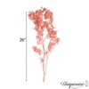 Uniquewise Preserved Real Floral Stems Chic Vase Fillers & Accents for Bouquets Centerpieces - 3 of 4