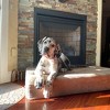 Big Barker 7" Orthopedic Dog Bed - Sleek Edition - 3 of 4