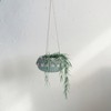 Storied Home Hanging Handwoven Rattan Planter with Shells and Jute Hanger, Aqua - 4 of 4