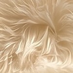beige yellow