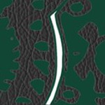 ohio university bobcats