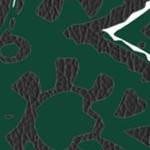 ohio university bobcats