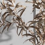 gray wood color+black