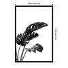 Amanti Art Monstera Black and White 03 by Amini54  Wood Framed Wall Art Print - 3 of 4