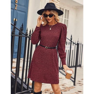 Coolmee Women Casual Puff Long Sleeve Round Neck Knit For Fall & Winter Tunic Mini Dress