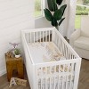 NoJo Deer To My Heart Tan, Brown and White Tree Leaf 100% Cotton Photo Op Fitted Crib Sheet - 4 of 4