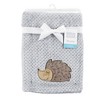 Hudson Baby Infant Boy Plush Waffle Blanket, Hedgehog, One Size - 2 of 2