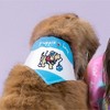 Pavilion Gift Company - Lake - 12" x 8" Canvas Slip on Pet Bandana - Pet Apparel Accessories - 3 of 4