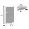 Hitow Tipping Shoe Cabinet Woodgrain Finish 3 Drawer Mirrored Doors - 3 of 4