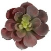Nearly Natural 5-in Echeveria Succulent Plant (Set of 12), Burgundy - 4 of 4