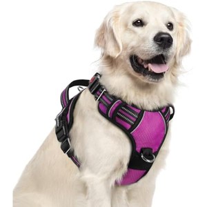 rabbitgoo Dog Harness for Large Dogs, No Pull Harness with Easy Control Handle and Reflective Strips, Purple, XL - 1 of 1