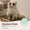 Bearington Tasha The Himalayan Stuffed Cat, 10.5 Inch Kitten Stuffed Animal - 2 of 4
