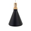 Yosemite Home Decor Noir Collection One Light Pendant - 3 of 4