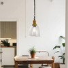DORESshop Farmhouse 1-Light Wood Grain Pendant with Large Clear Glass Shade, Rustic E26 Hanging Light for Kitchen Island - 3 of 4