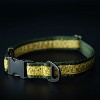 Country Brook Petz Signature Dog Collar Collection - 3 of 4