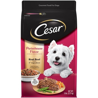 target cesar dog food