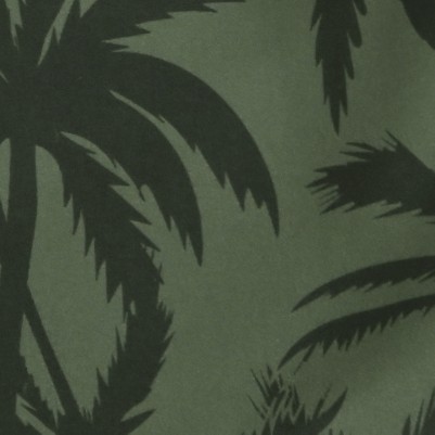 black palm tree