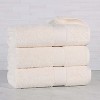 Organic Cotton Medium Weight Solid Towel Set by Blue Nile Mills - 2 of 4