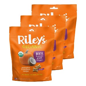 Riley's Organics Pumpkin & Coconut Small Bone Dog Treats - 1 of 4