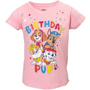 Paw Patrol Nickelodeon Skye Rubble Chase Girls Birthday T-Shirt Toddler to Big Kid - 1 of 4