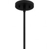 Quoizel Lighting Royer 1 - Light Pendant in  Matte Black - 3 of 4