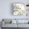 Trademark Fine Art -Chris Paschke 'Gray and Silver Flowers I' Canvas Art - 2 of 4