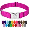 Country Brook Petz Premium Nylon Dog Collar with Metal Buckle for Small Medium Large Breeds - Vibrant 30+ Color Selection - 2 of 4