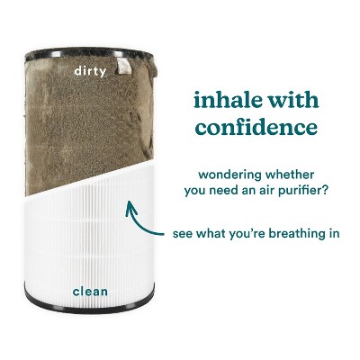 True HEPA Replacement Filter for Air Purifiers, White