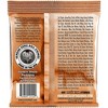 Ernie Ball 2144 Earthwood Phosphor Bronze Medium Acoustic Guitar Strings 2-Pack - 3 of 3