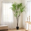 TopComfy Artificial Trees 300cm Artificial Disc Leaf Tree Giant Disc Leaf Tree Faux Disc Leaf Plant Decorate Tree for Home, Green, 78.5"*71"*118" - 2 of 4
