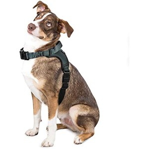 rabbitgoo Dog Harness, Adjustable Handle and Shock-Reflective Dog Vest Harness No Choke, Halter Harness with Padded Strap for Extra Large Dogs,XL - 1 of 1
