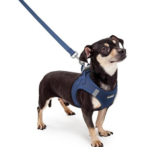 rabbitgoo Dog Harness Small Sized and Leash Set, Breathable Mesh Pet Harness, Reflective for Outdoor Safe Walking, Navy Blue XXXS - 1 of 1