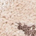 ivory/brown