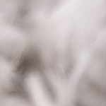 beige, light blue, pale pink, mustard