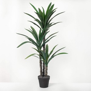 Sullivans 4'8"Potted Dracaena Tree, Green - 1 of 4