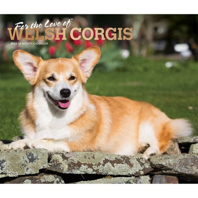 2022 Deluxe Calendar Welsh Corgis - BrownTrout Publishers Inc