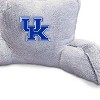 NCAA Kentucky Wildcats Faux Fur Backrest - 2 of 2