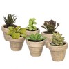 Vickerman Artificial Assorted Potted Artificial Succulents - 3 of 3