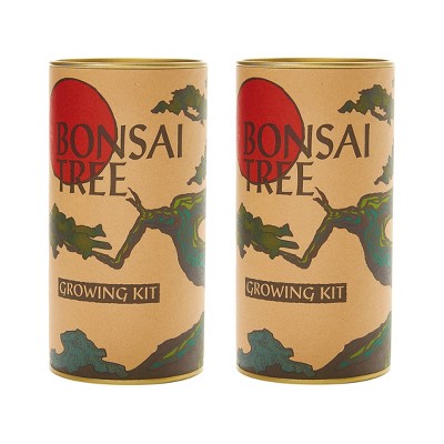 2pk Bonsai Tree Seed Grow Kit - Japanese Maple -The Jonsteen Company
