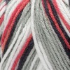 Red Heart Super Saver Pooling Yarn 24 Pack-Haute - 3 of 3