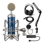 Blue Microphones Bluebird Large Diaphragm XLR Condenser Mic Studio Bundle