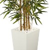 HomeStock  5.5 ft. Artificial Bamboo Tree in Planter for Indoor/Outdoor - 3 of 3