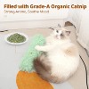 3 Pack Cat Toys Pillows, Interactive Indoor Kitten Kicker, Promotes Kitty Exercise - 3 of 4